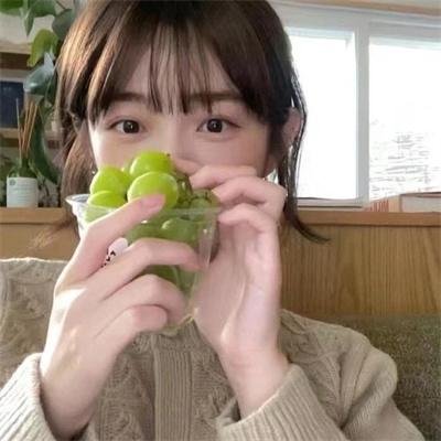 巴塔哥尼亚